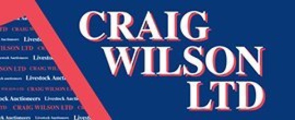 Craig Wilson Ltd